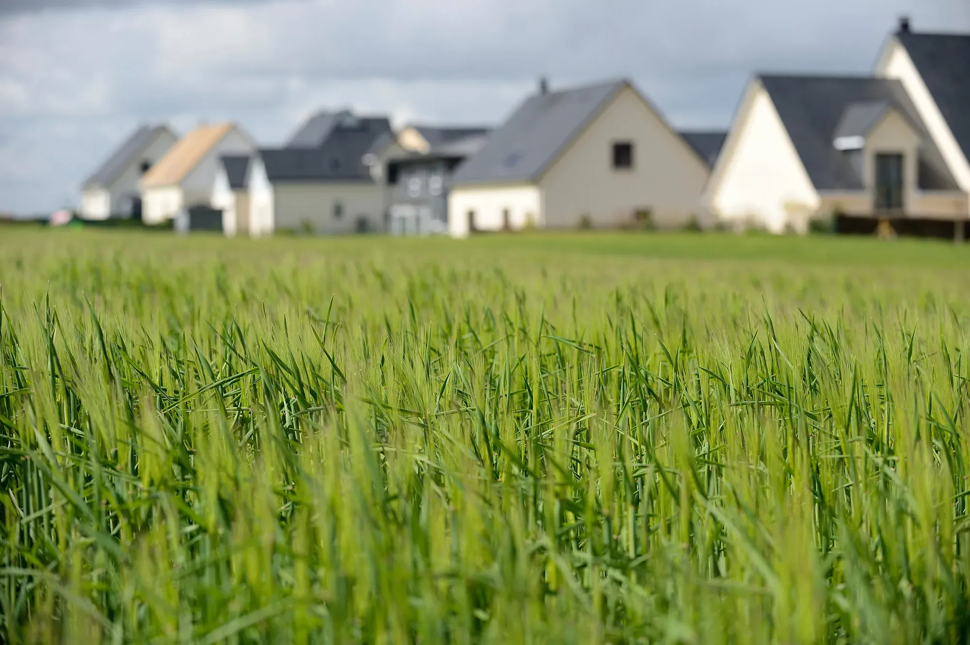 terrain lotissement (2)